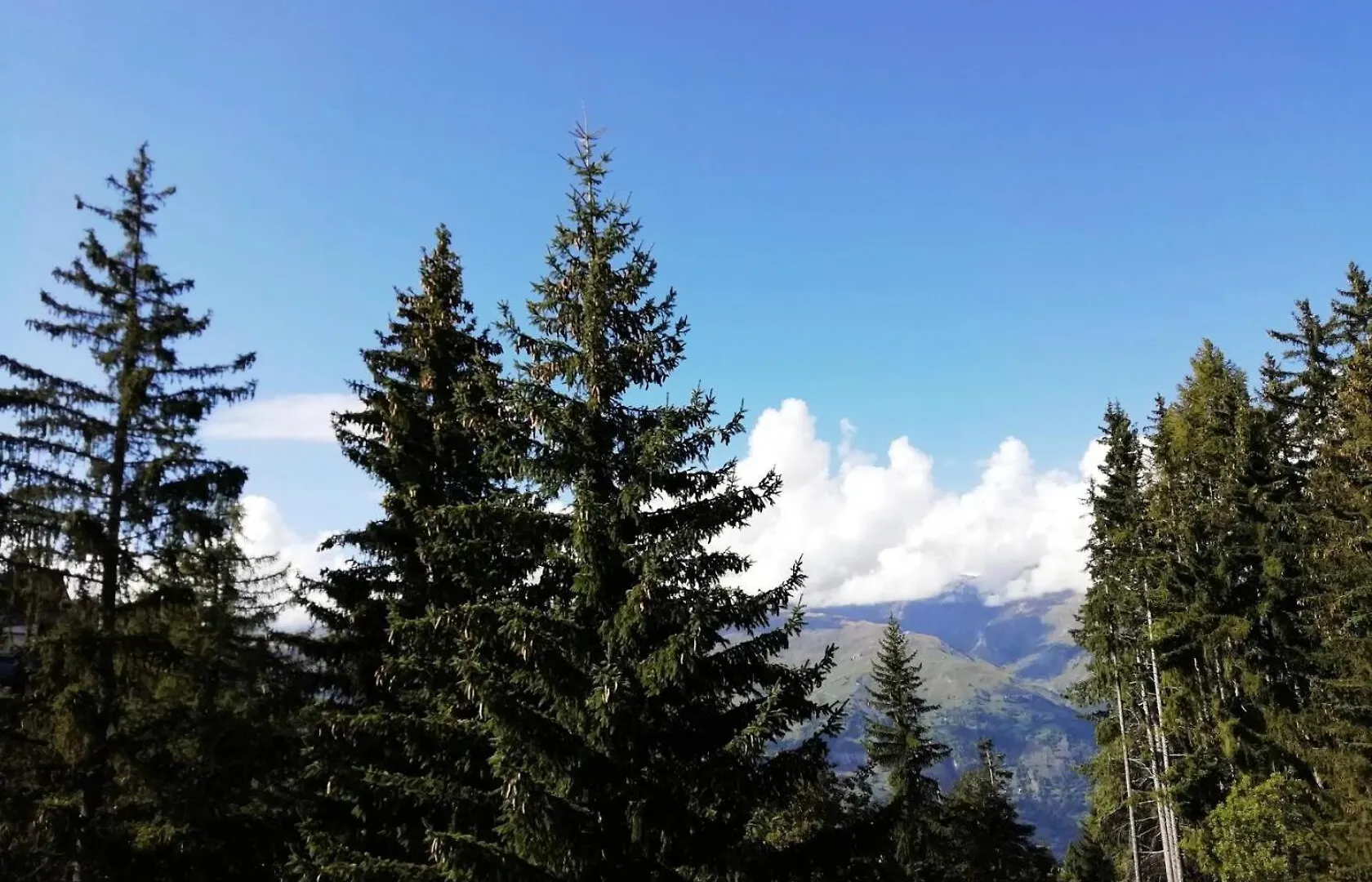Résidence Lauzieres - Studio pour 5 Personnes 86 Les Arcs  0*, Les Arcs (Savoie)